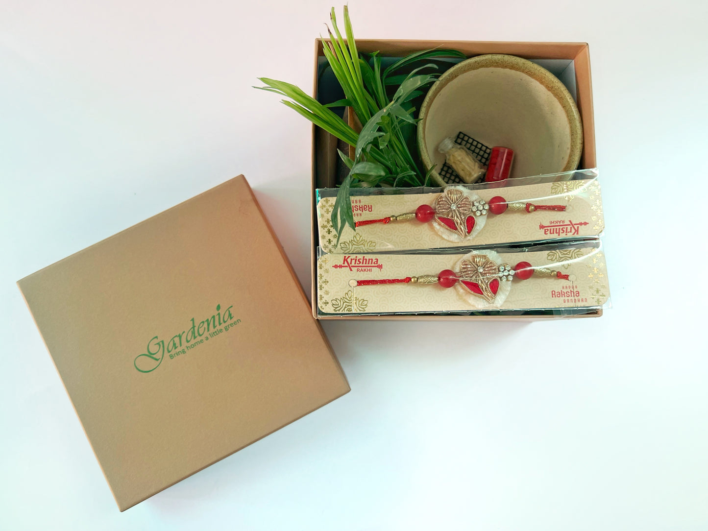 Rakhi Giftbox with Bamboo Palm