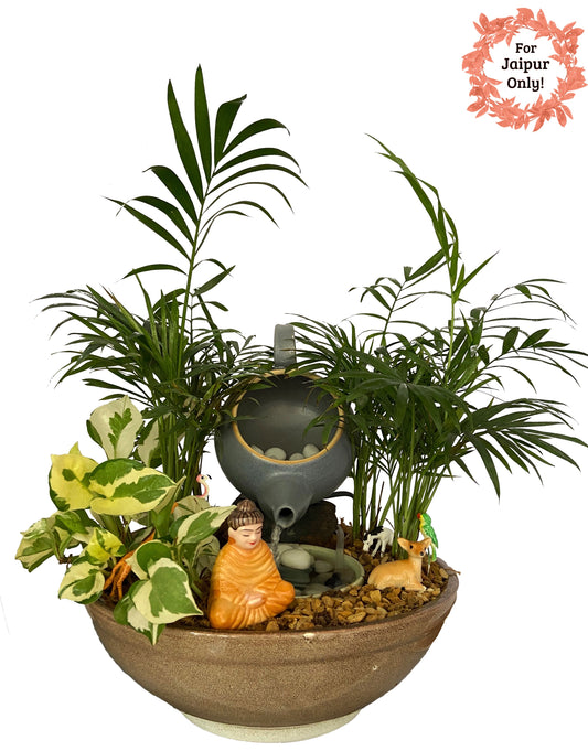 kettle, water, fountain, wild, remedy