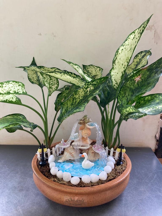 Seashell Waterfall