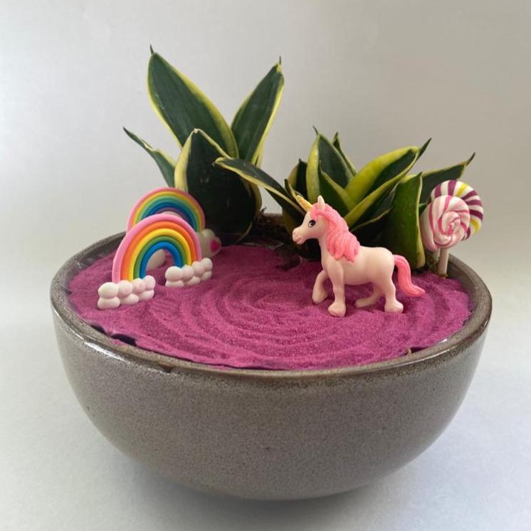 unicorn, rainbow, birthday, sansevieria, pink, candy